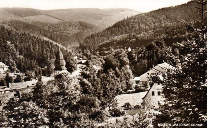 Die Hammerhuette Willingen  Bagian luar foto